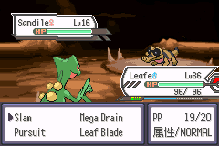 Pokemon Hyper Emerald 802