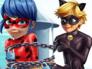 Cat Noir Rescue Ladybug