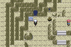 Pokemon Emerald Extreme Randomizer