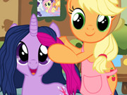 Pony Hairy Salon