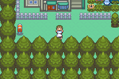 Pokemon Emerald Extreme Randomizer 🕹️️ Play Pokemon Games Online &  Unblocked