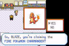 Pokemon Fire Red Definitive Edition