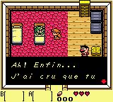 Legend of Zelda, The - Link's Awakening DX (France)