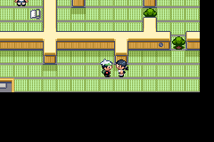 Pokemon Emerald Crest v1.0.3