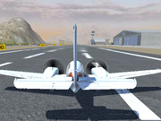 Free Flight Sim