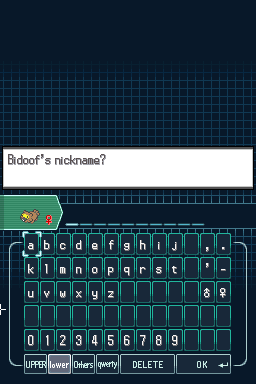 Pokemon Blaze Black 2