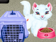 Baby Taylor Pet Care