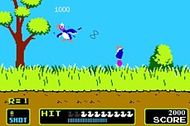 Duck Hunt