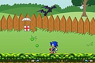 Sonic in the Garden